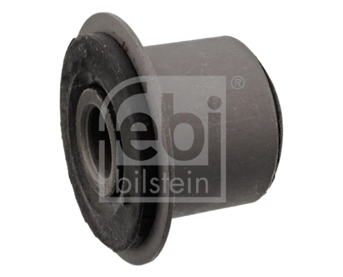 Bushing, leaf spring